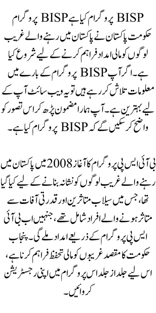 What is the BISP Program and Registration Procedure 2024